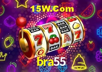 bra55 Rio de Janeiro - Licenses
