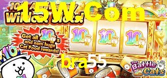 bra55.com