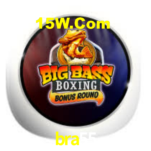 bra55.com