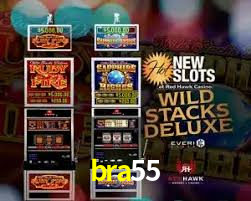 bra55 App Interface