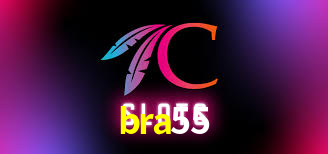 bra55